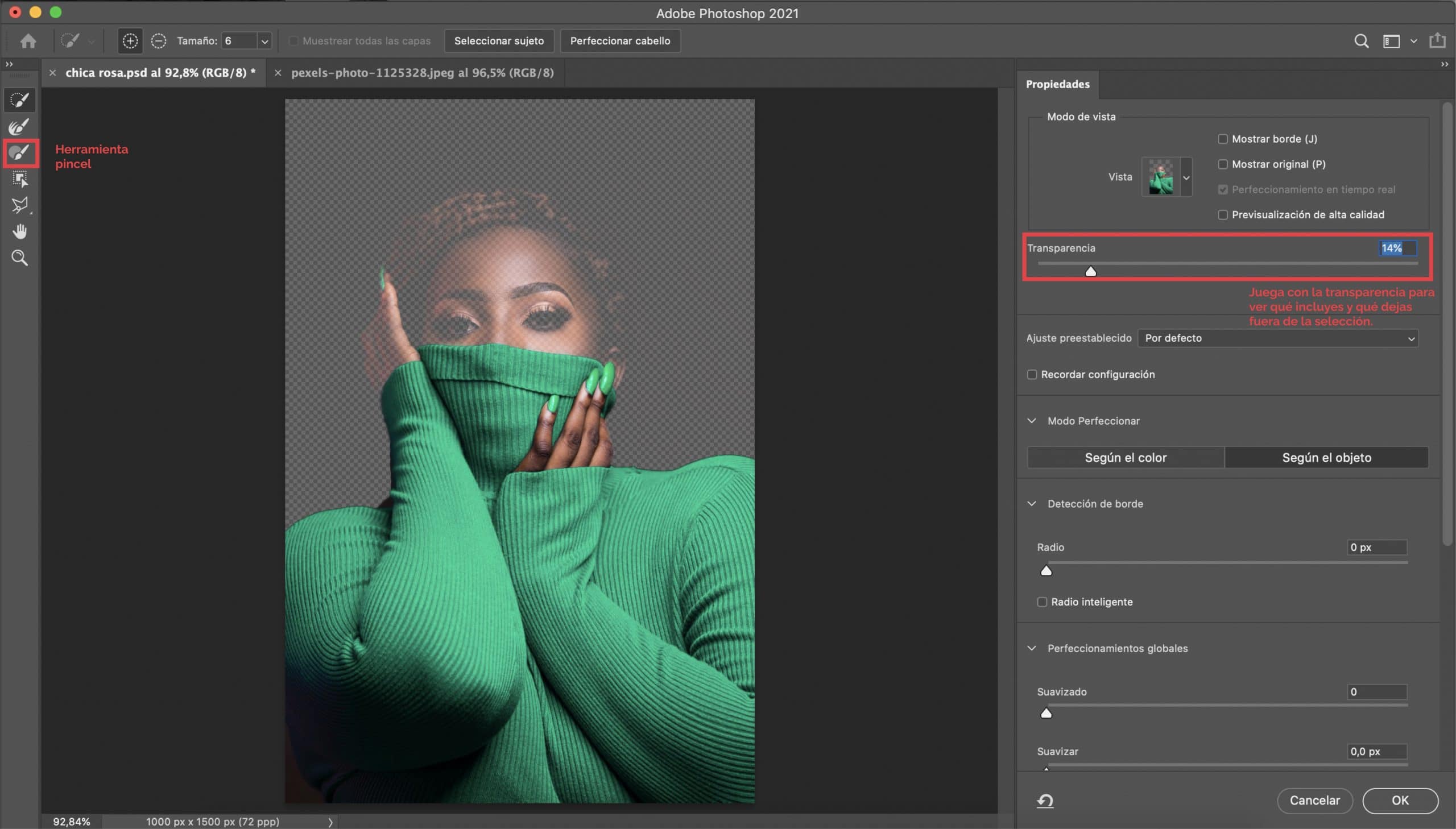 How to apply Photoshop selection mask