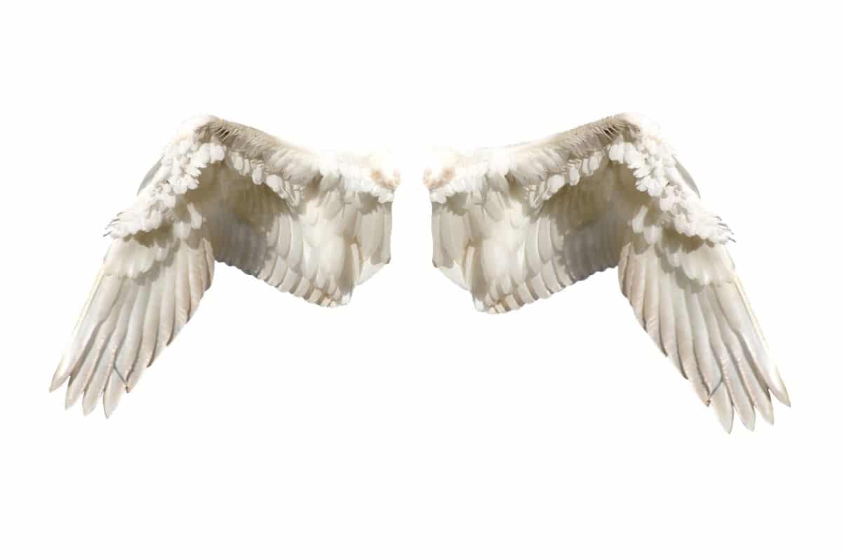 Is it easy to draw angel wings?