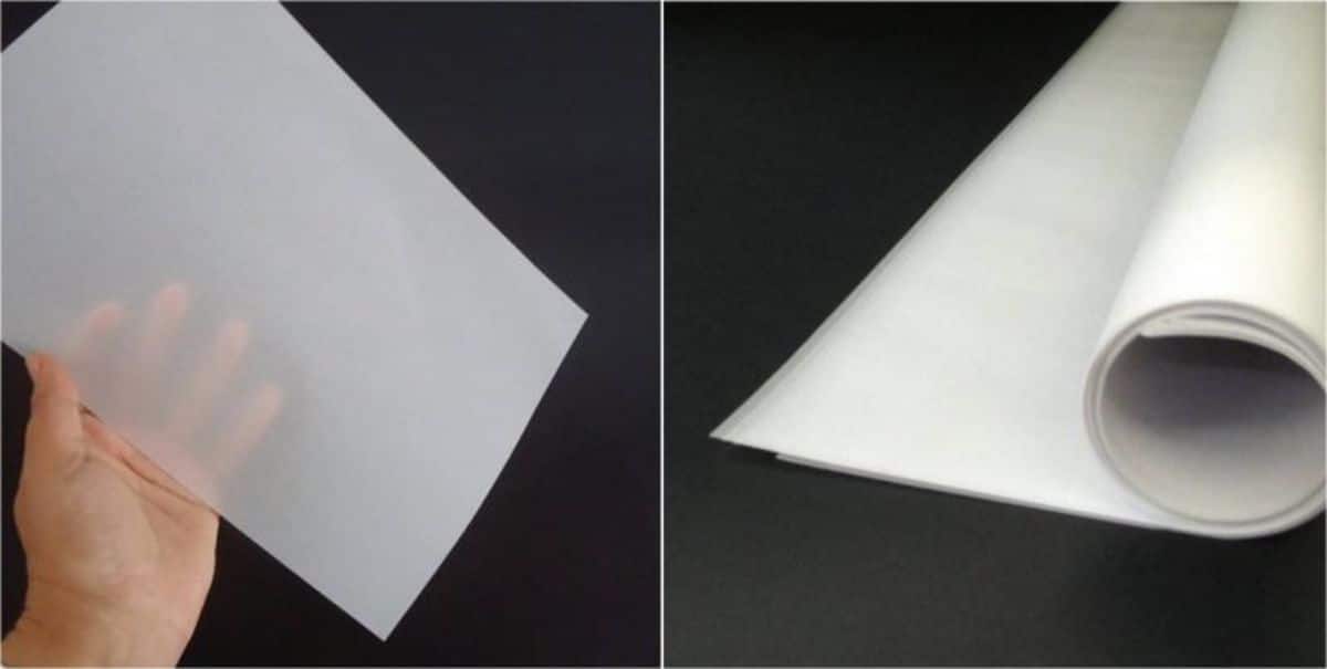 Vegetable or carbonless paper