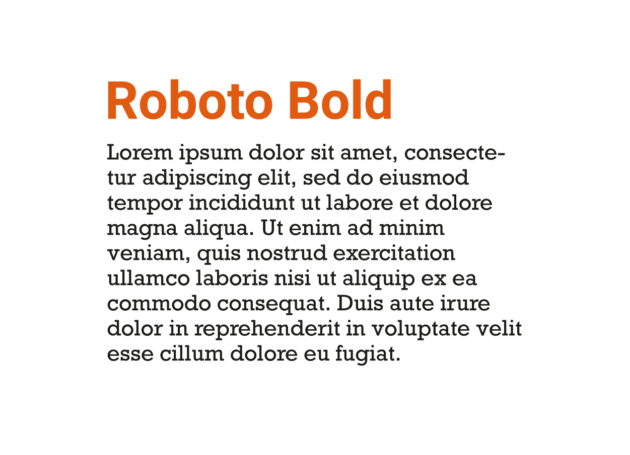 Roboto Bold and Rockwell modern typeface combination