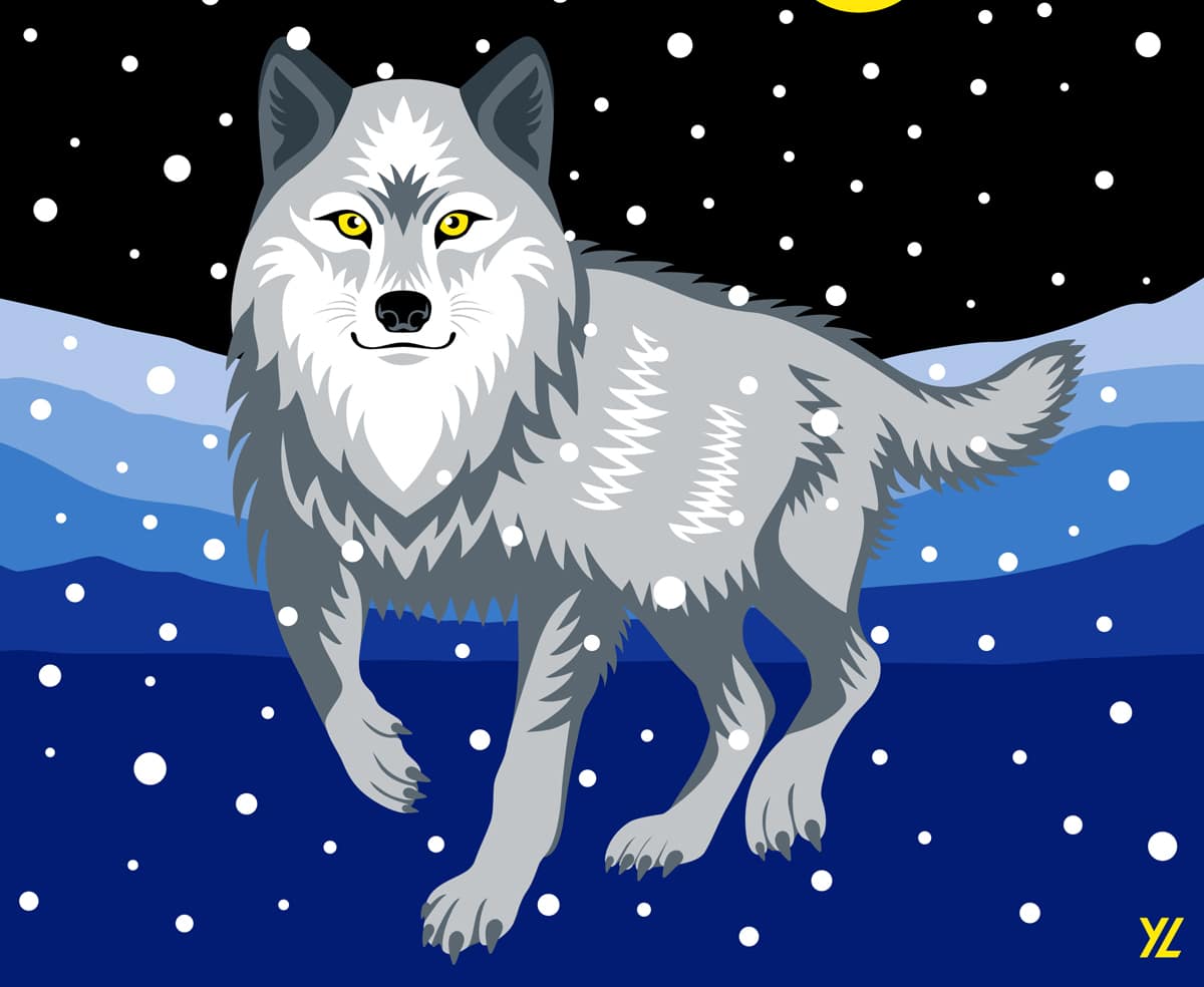 Wolf in Adobe Illustrator on iPad