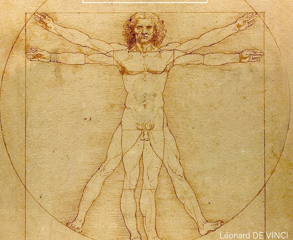 Vitruvian