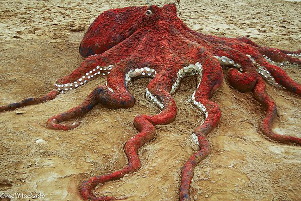 Bastarrika Sand Octopus