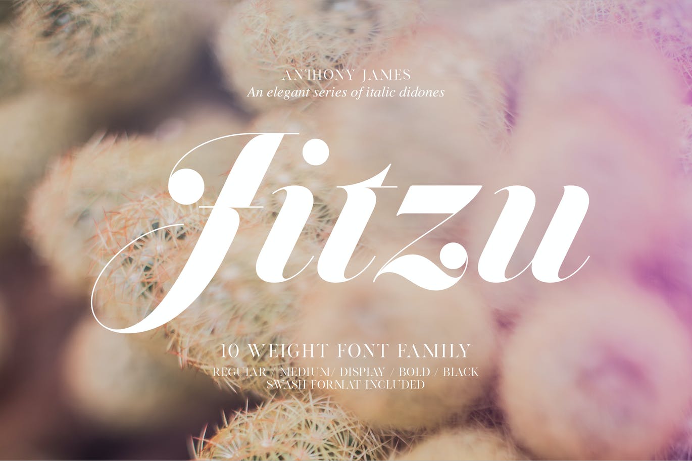 Best Elegant Handwritten Fonts for Designers - Jitzu Type Family