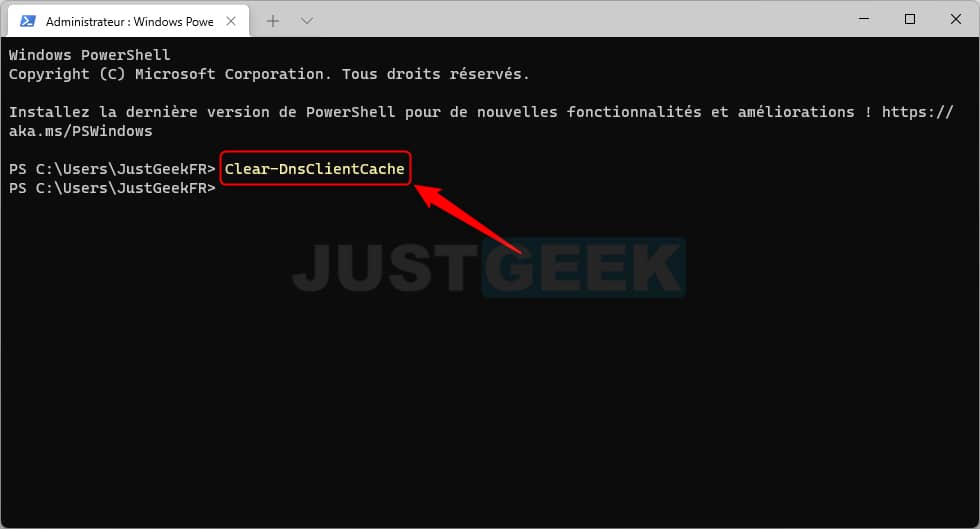 Clear the DNS cache with Windows PowerShell on Windows 11